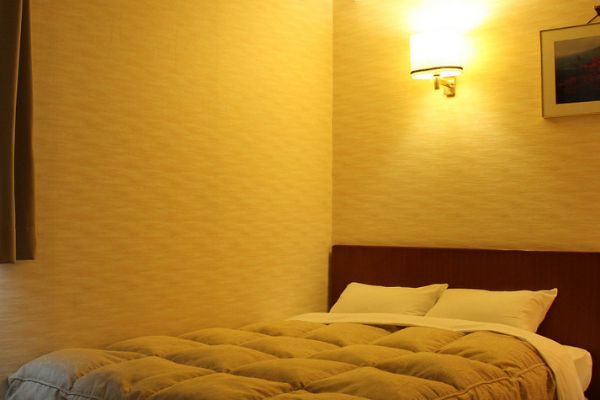 Fujieda City Hotel (Fujieda-shi)
